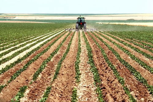 豆粕價格 連豆粕尾盤暴力拉升90元 噸 原因竟然是它