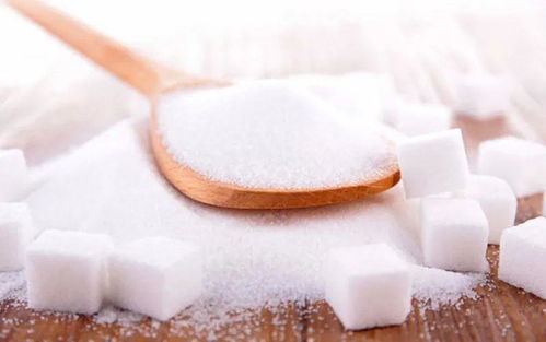 喝不胖的氣泡水,給你不一樣的新鮮感