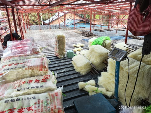 食品生產許可證過期 四川攀枝花一粉絲廠將生產日期改到半年前被查